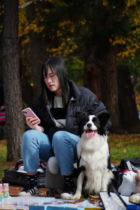 a woman sitting on a blanket next to a dog