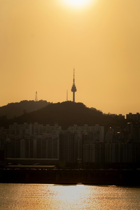 a bird flying over a body of water with a city in the background