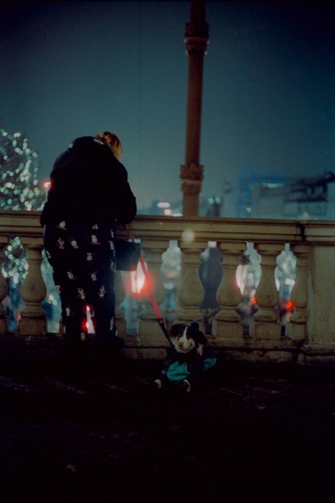 a man standing on a bridge next to a dog  cqhmIsSH