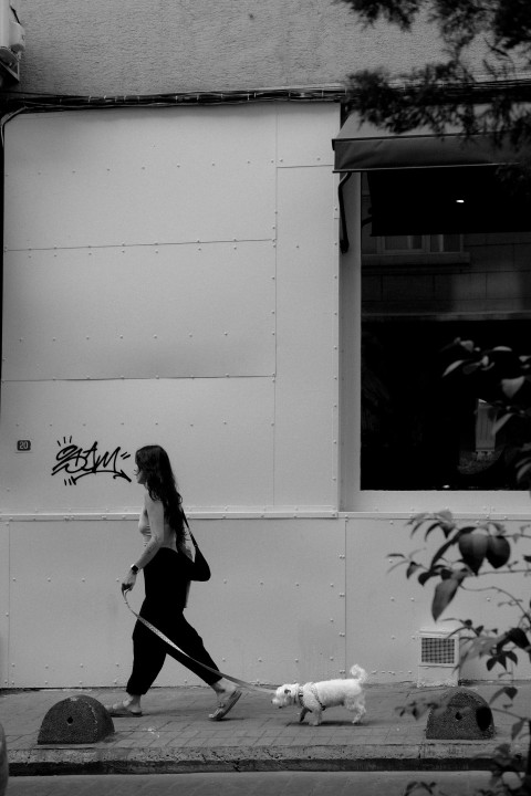 a woman walking a dog down a street