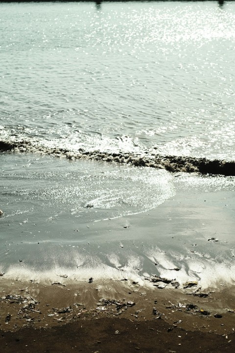 a person walking on the beach with a surfboard