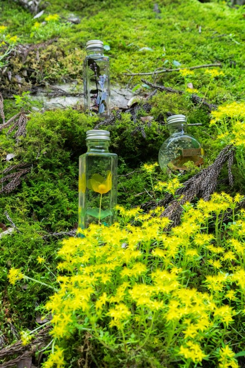 a couple of jars sitting on top of a lush green field