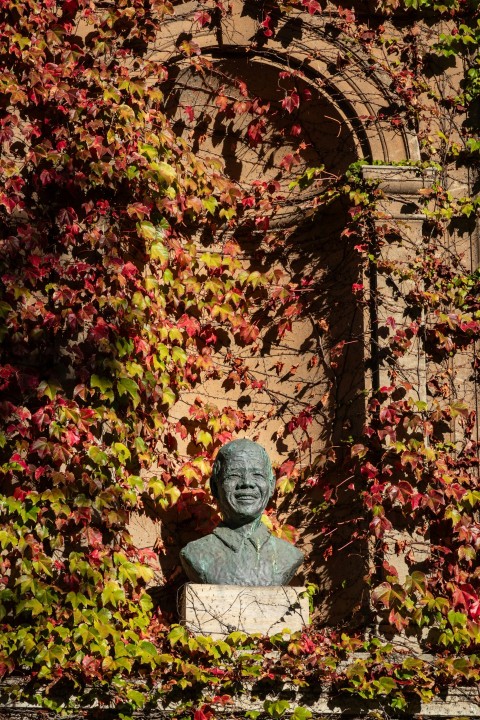 a statue of a man surrounded by vines lW1Va5u3v