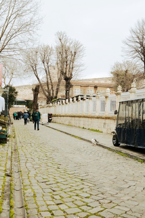 a black bus parked on the side of a road