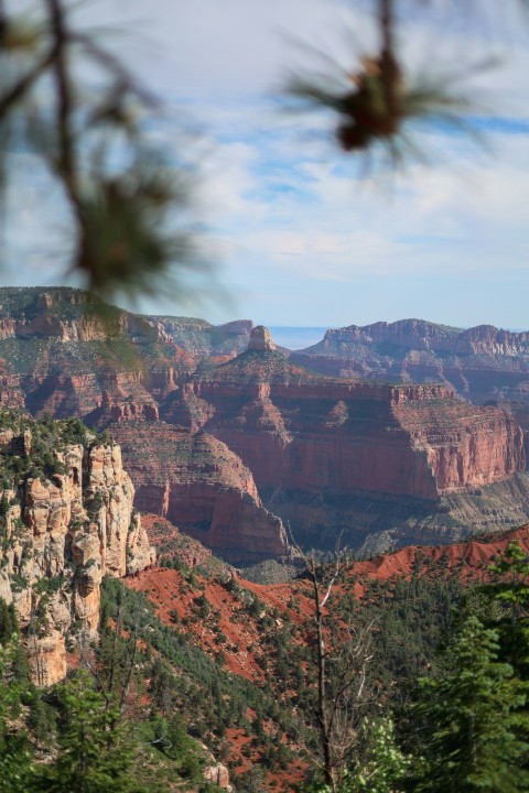 a view of the grand canyon from a distance