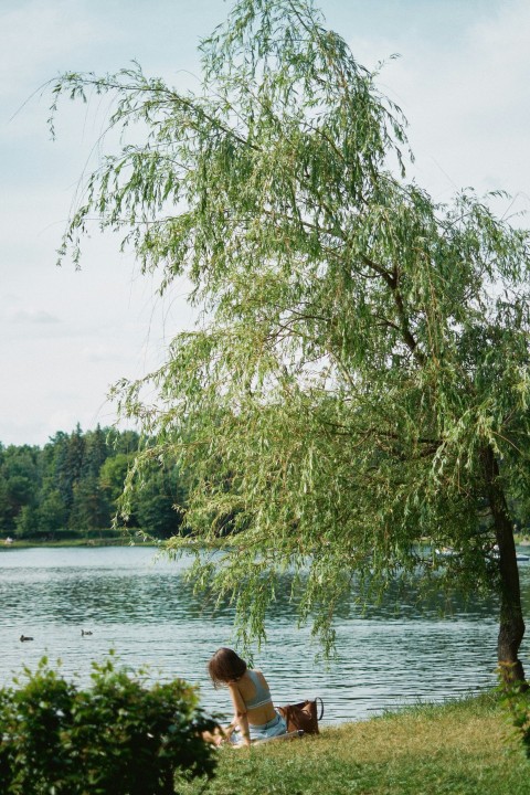 a woman sitting under a tree next to a lake