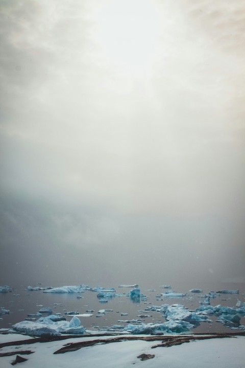 a large amount of ice floating on top of a body of water