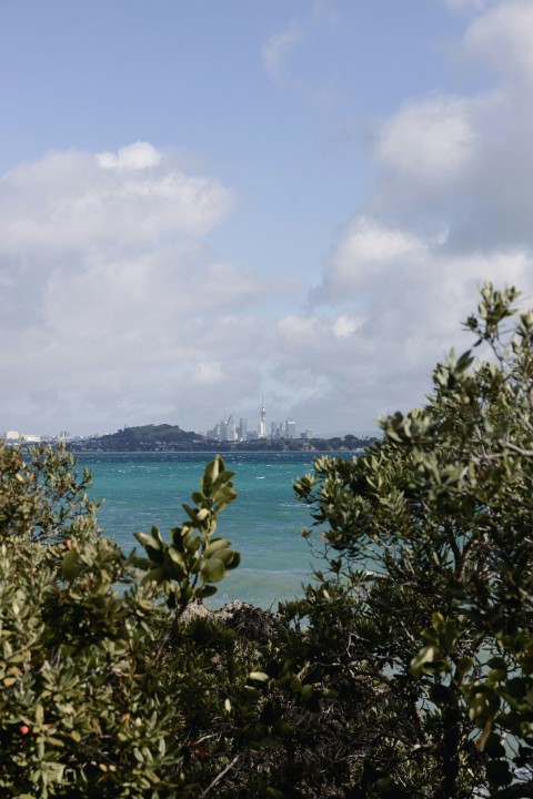 a view of a body of water with a city in the distance