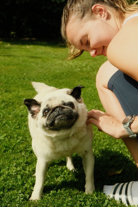 a woman petting a small dog on the grass vIChNCL