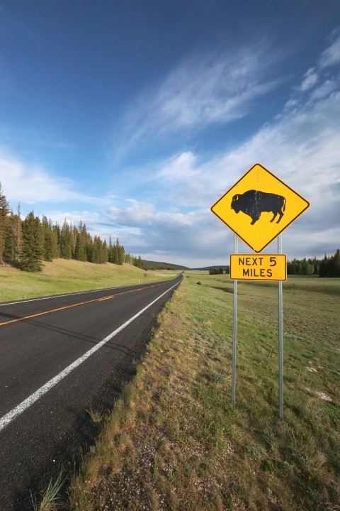 a yellow sign sitting on the side of a road