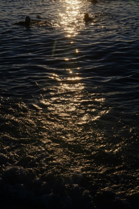 a group of people swimming in the ocean at sunset