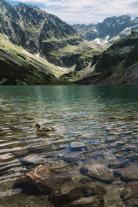 a body of water surrounded by mountains and rocks