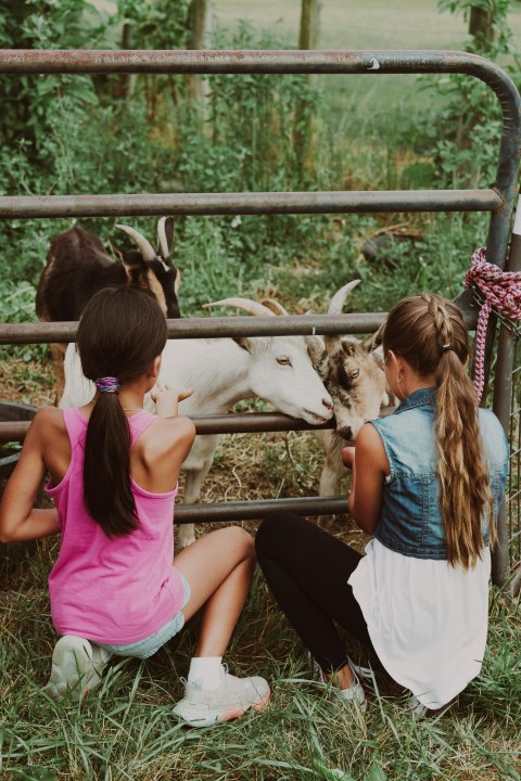 two girls sitting on the ground petting a cow 6fadhrF