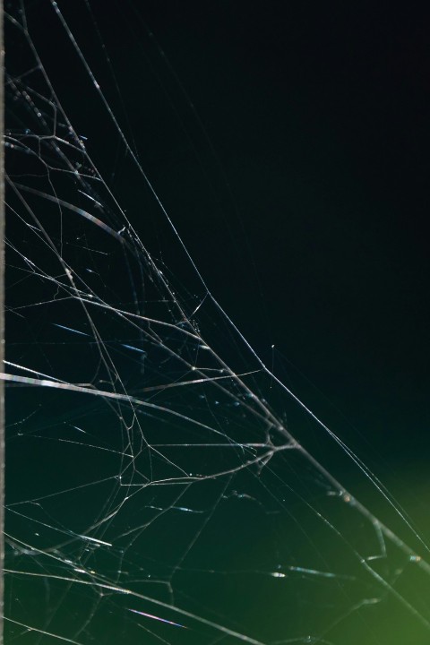 a close up of a spider web on a pole iC1eqN