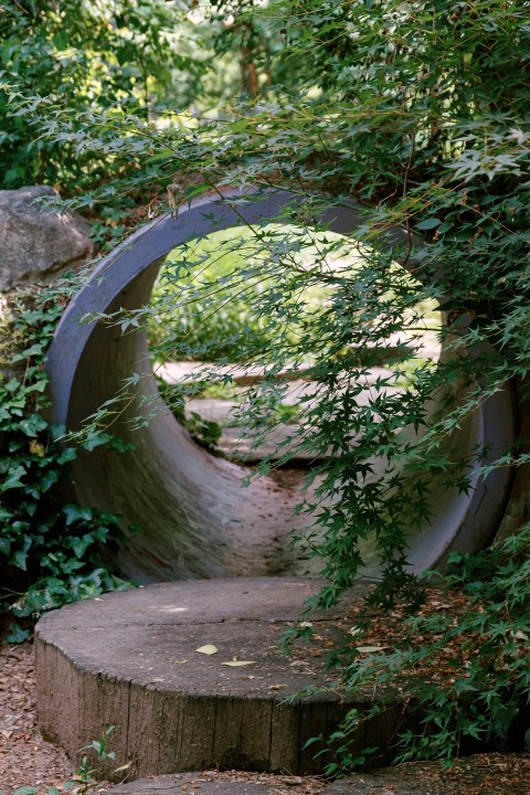 a circular sculpture in the middle of a forest