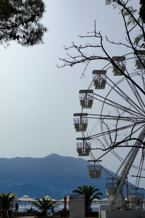 a ferris wheel in front of a mountain range