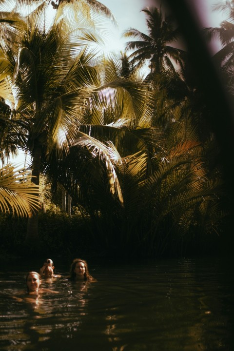 a group of people swimming in a body of water