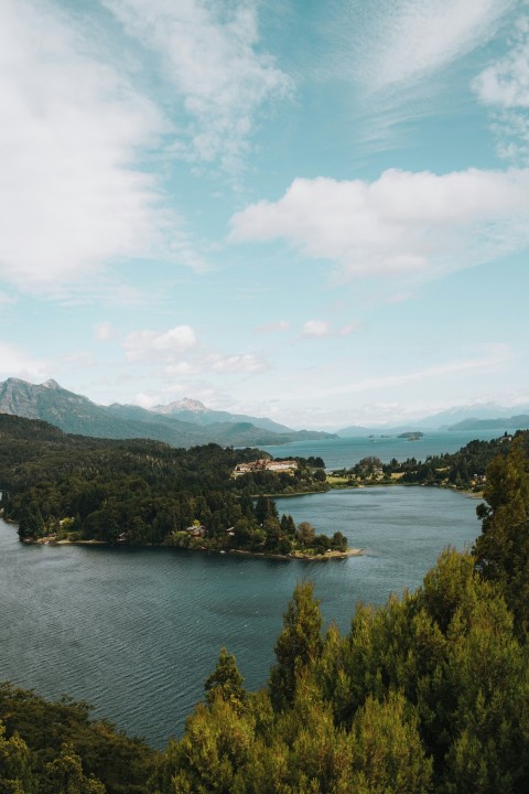 a large body of water surrounded by trees