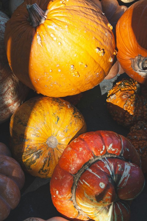 a pile of pumpkins sitting next to each other