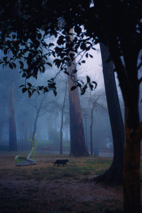 a dog running through a park at night