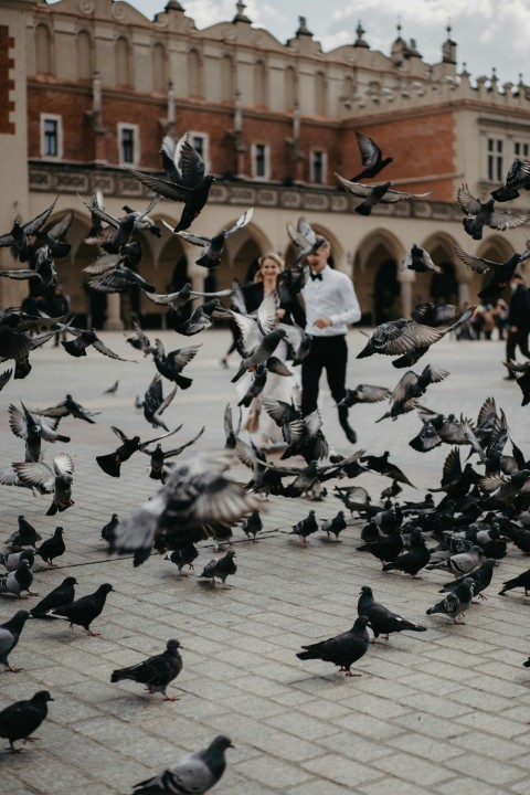 a man is surrounded by birds in a courtyard