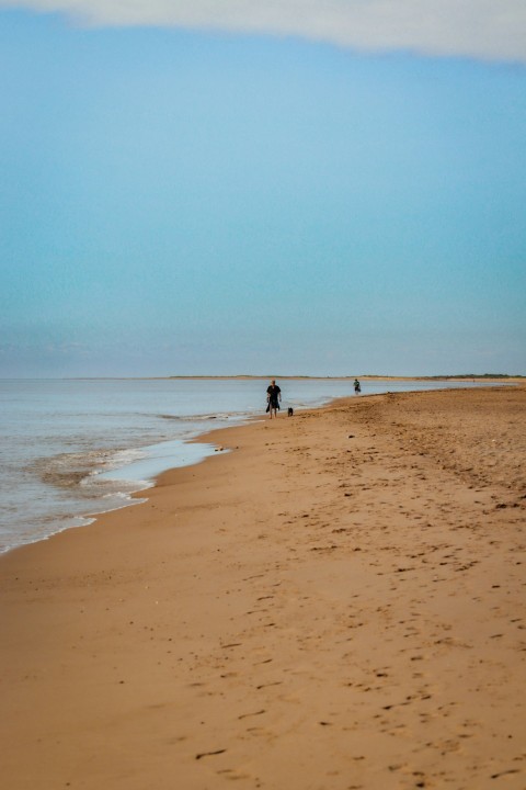 a person walking on a beach next to the ocean