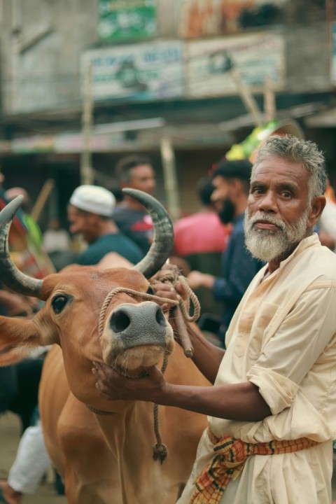 a man is petting a cow on the street f5dNxY