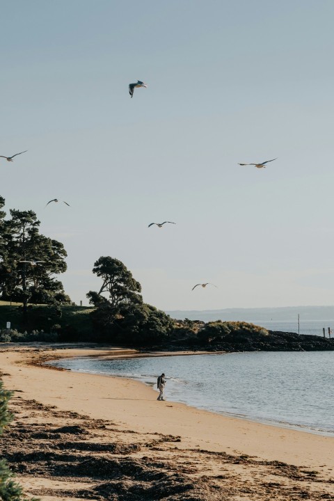 a person standing on a beach near the ocean