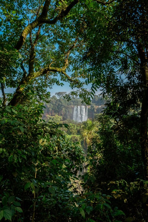 a view of a waterfall through the trees