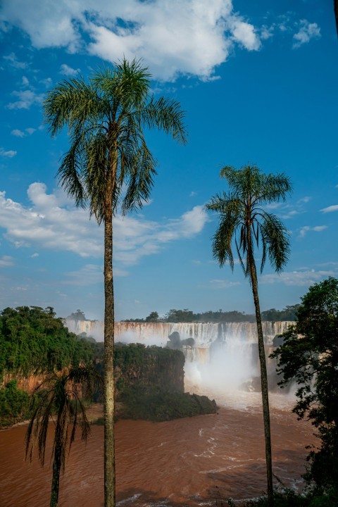 a view of a waterfall with trees in the foreground