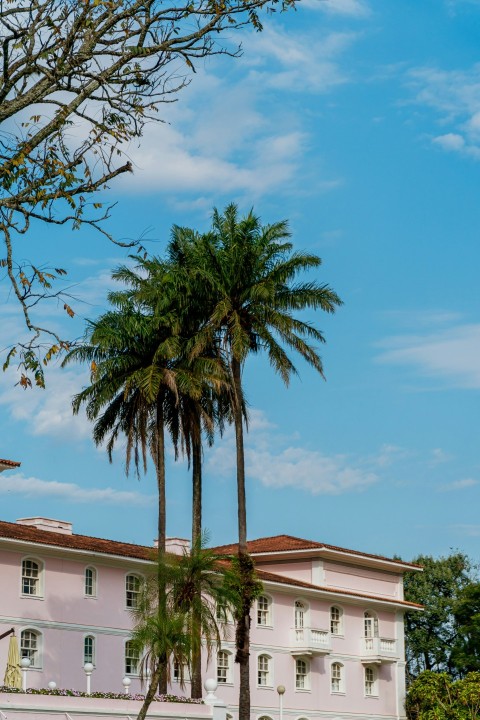 a pink building with palm trees in front of it