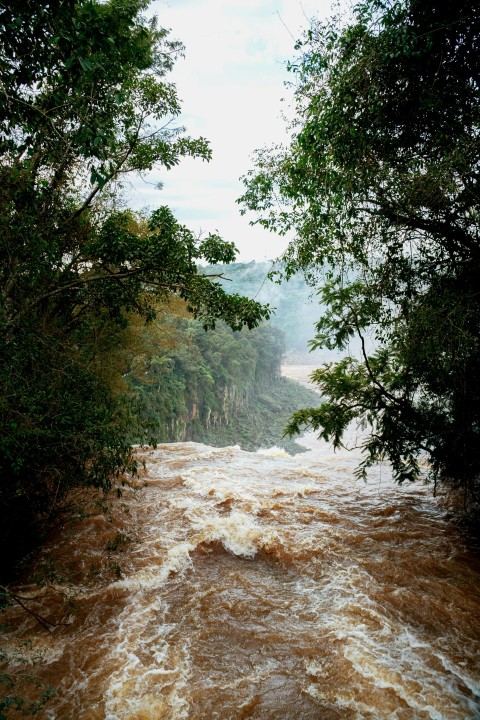 a river with brown water and trees on both sides