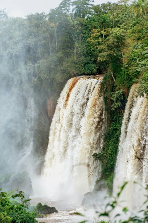 a large waterfall in the middle of a forest