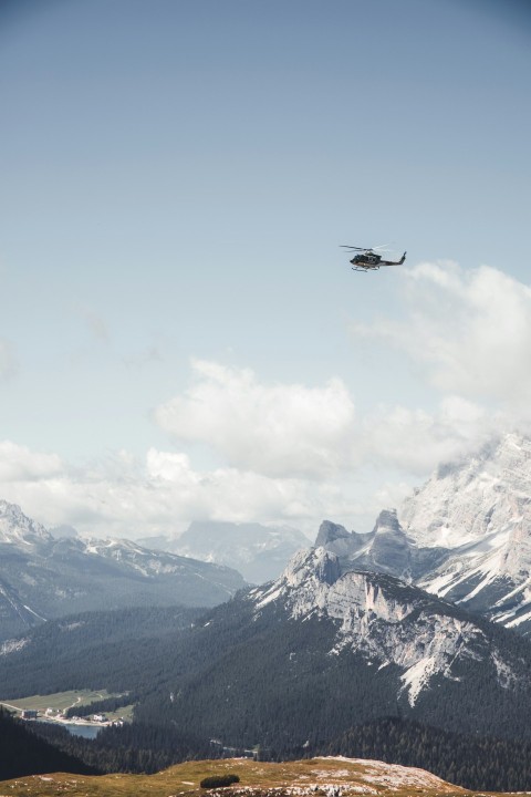 black bird flying over snow covered mountain during daytime