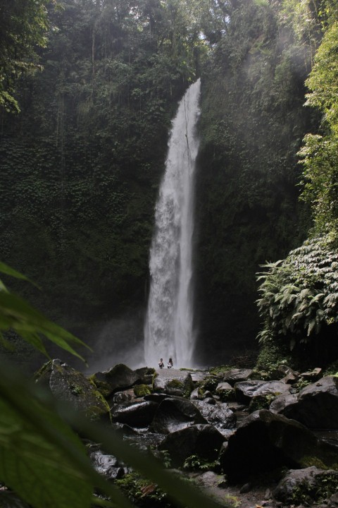 a waterfall in a forest