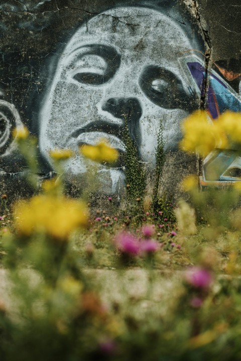 yellow flowers beside gray wall