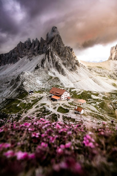 a house on a hill surrounded by flowers