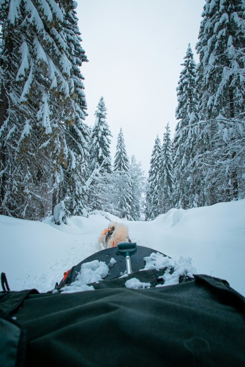 person in black jacket and brown pants sitting on snow covered ground during daytime