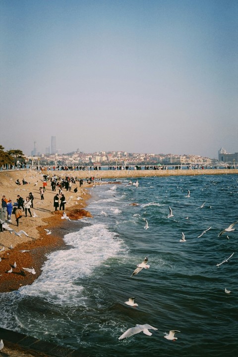 a group of people standing on top of a beach next to the ocean