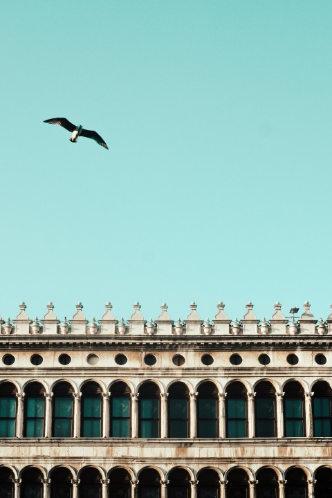 architectural photography of gray monument