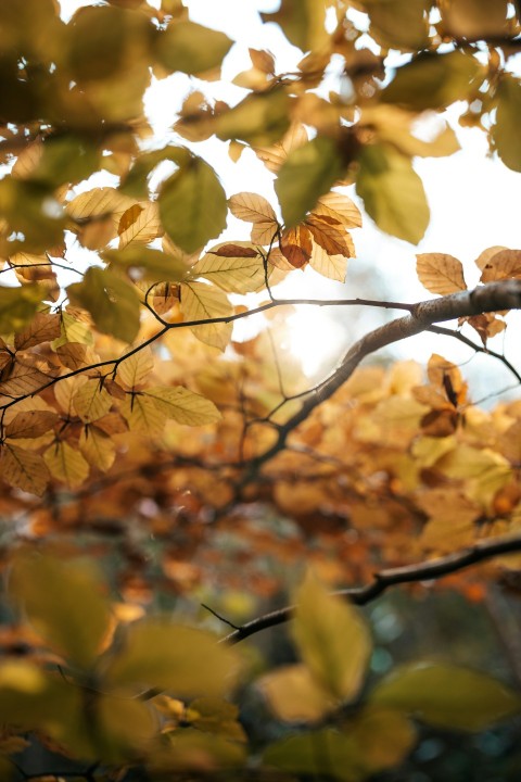 a bird sitting on a tree branch