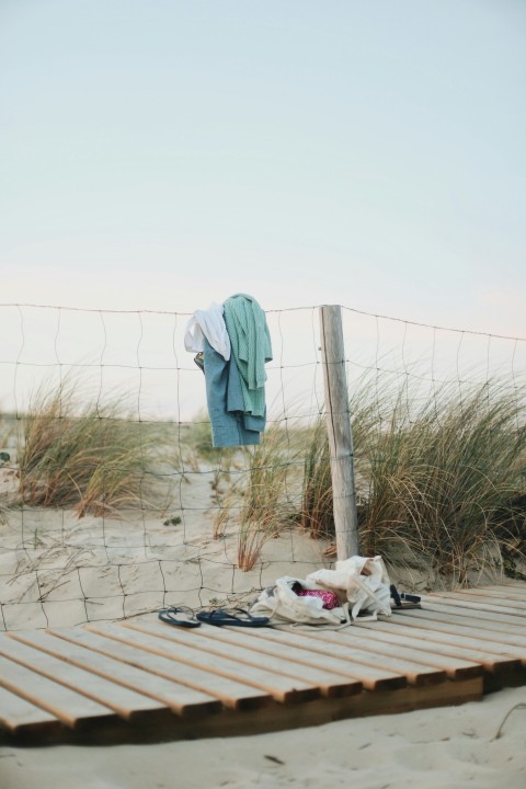 a dog lying on a wooden deck il