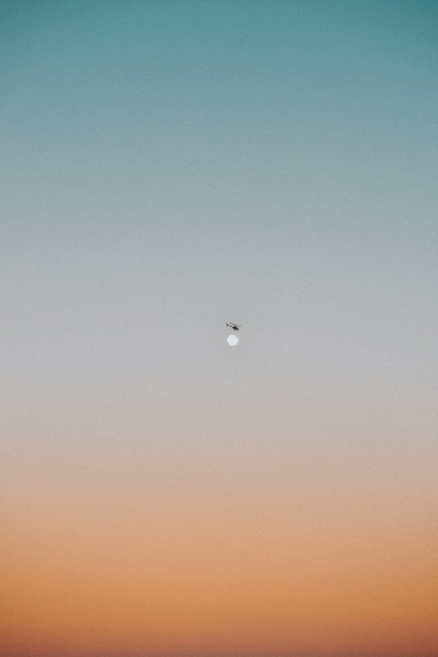 black bird flying over the sky during daytime