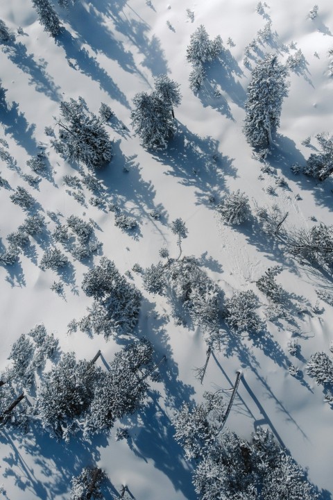 snow covered mountain during daytime