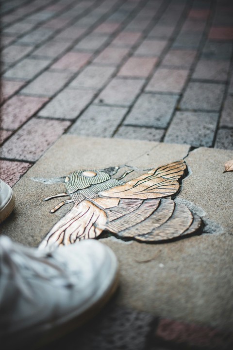 brown and beige bird on brown wooden floor