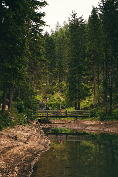 a bridge over a river