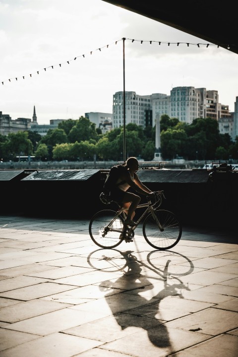 a person riding a bike on a bridge