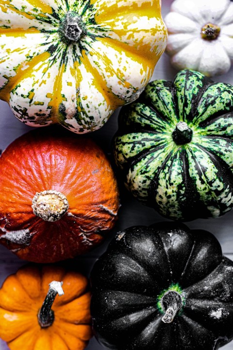 six assorted colored squash