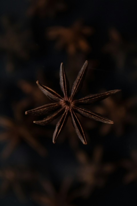 green and black leaf in close up photography