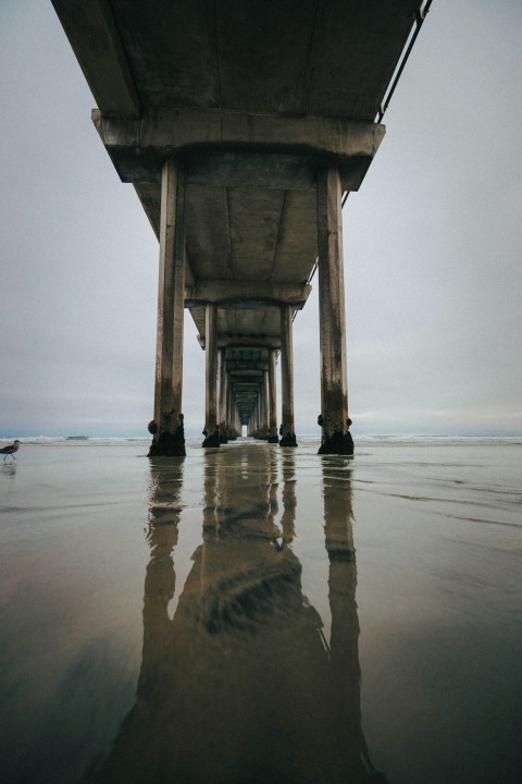 a view of the underside of a bridge from the water